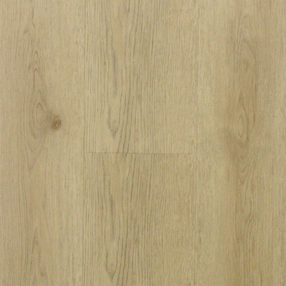 zam1