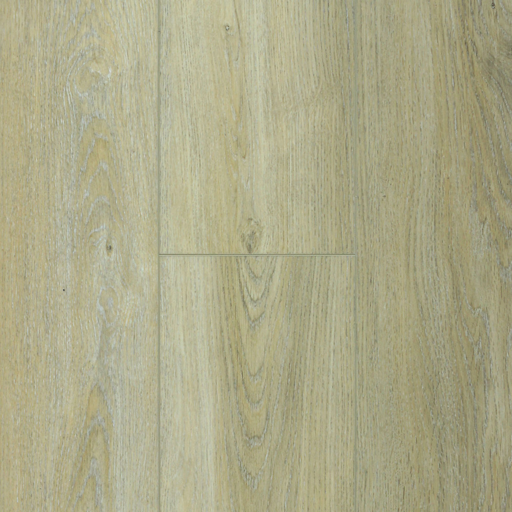 zam1