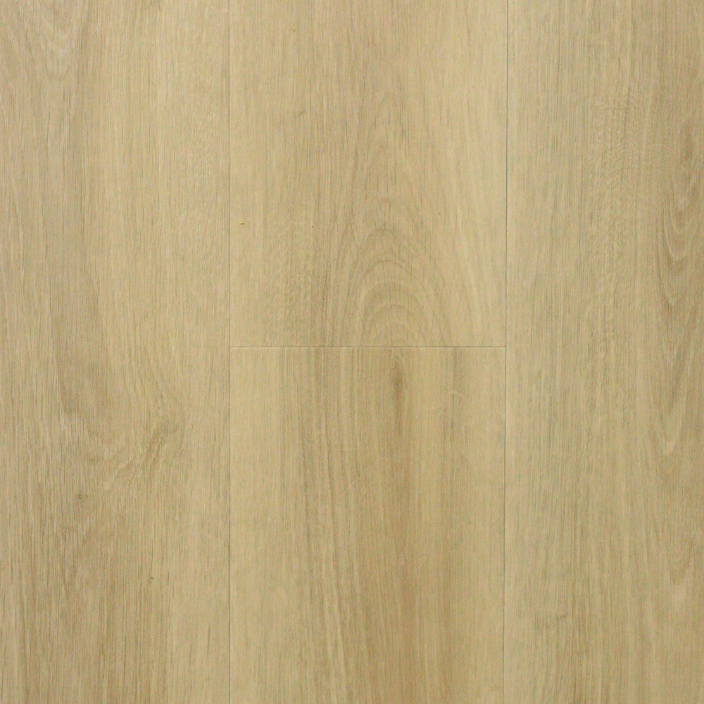 zam1