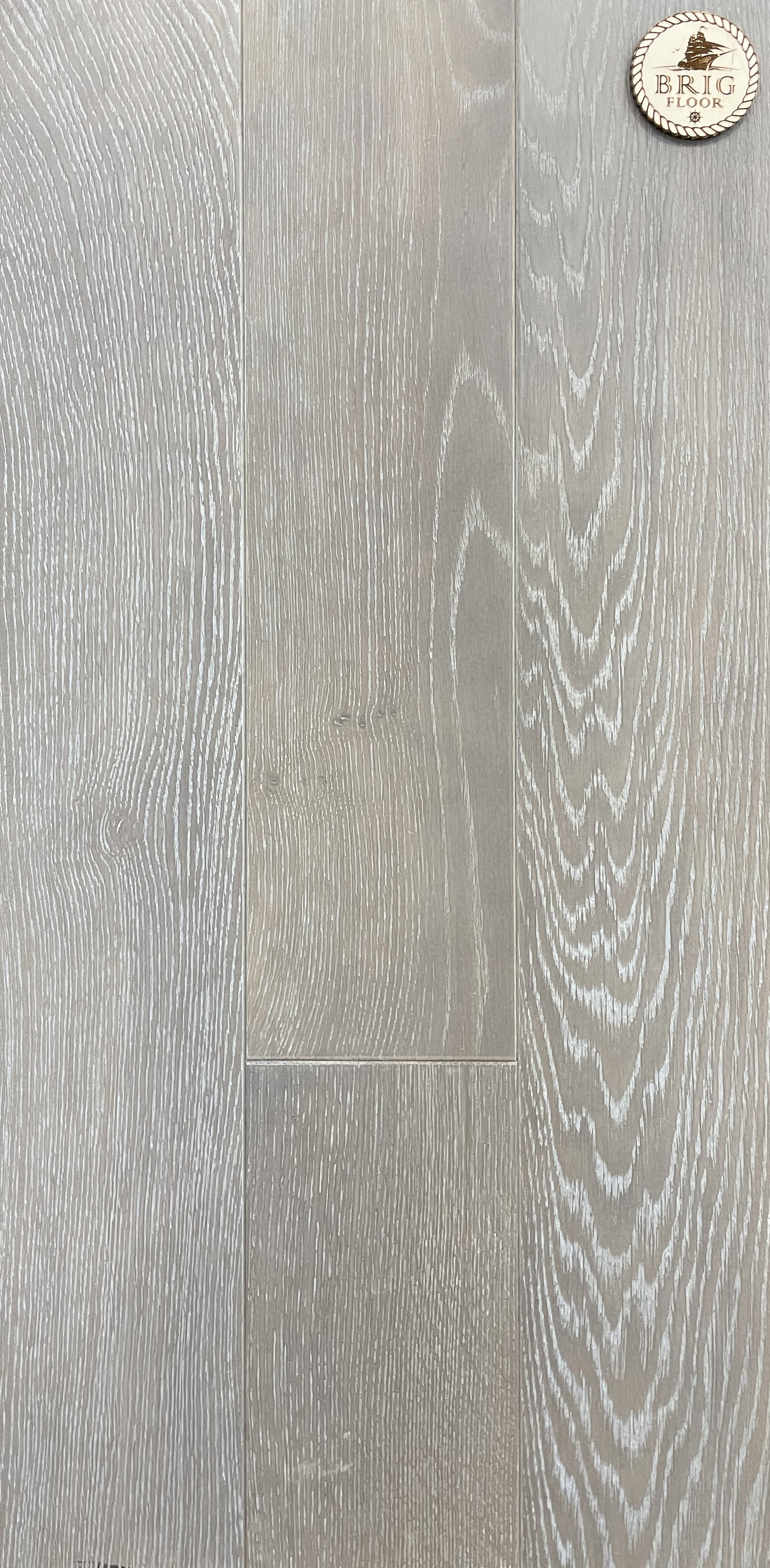 zam1