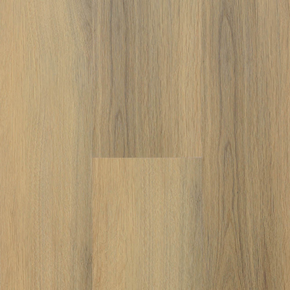 zam1