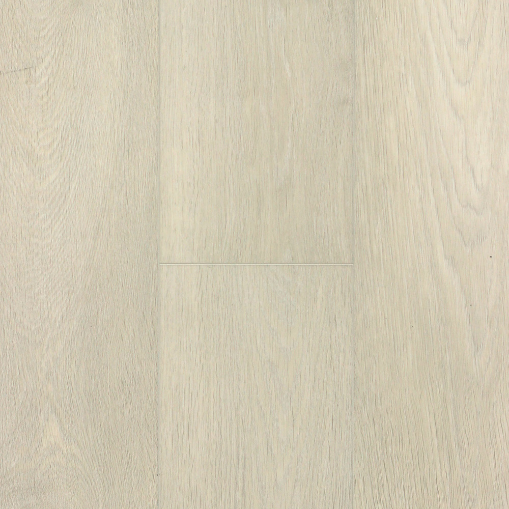 zam1