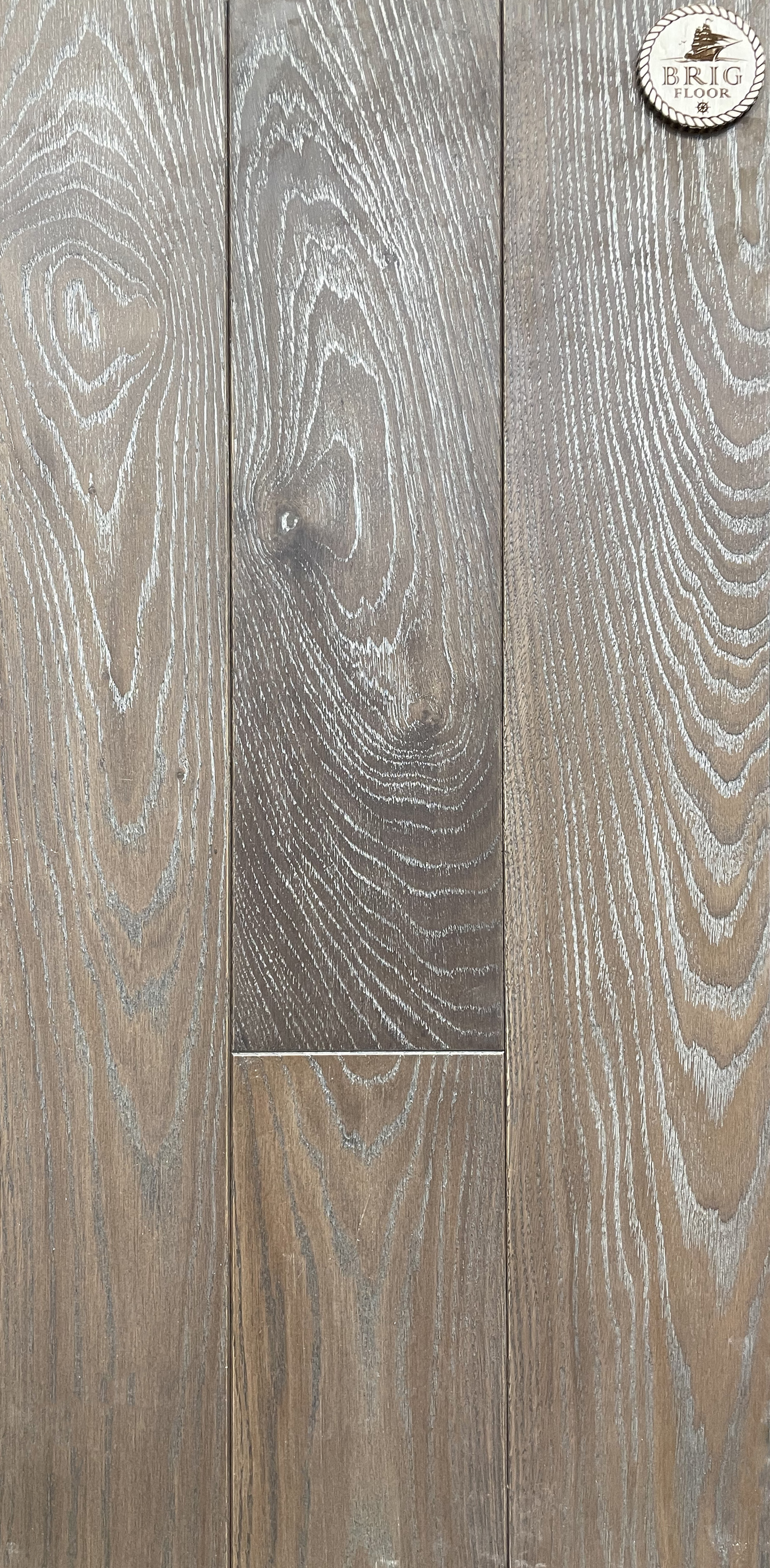 zam1
