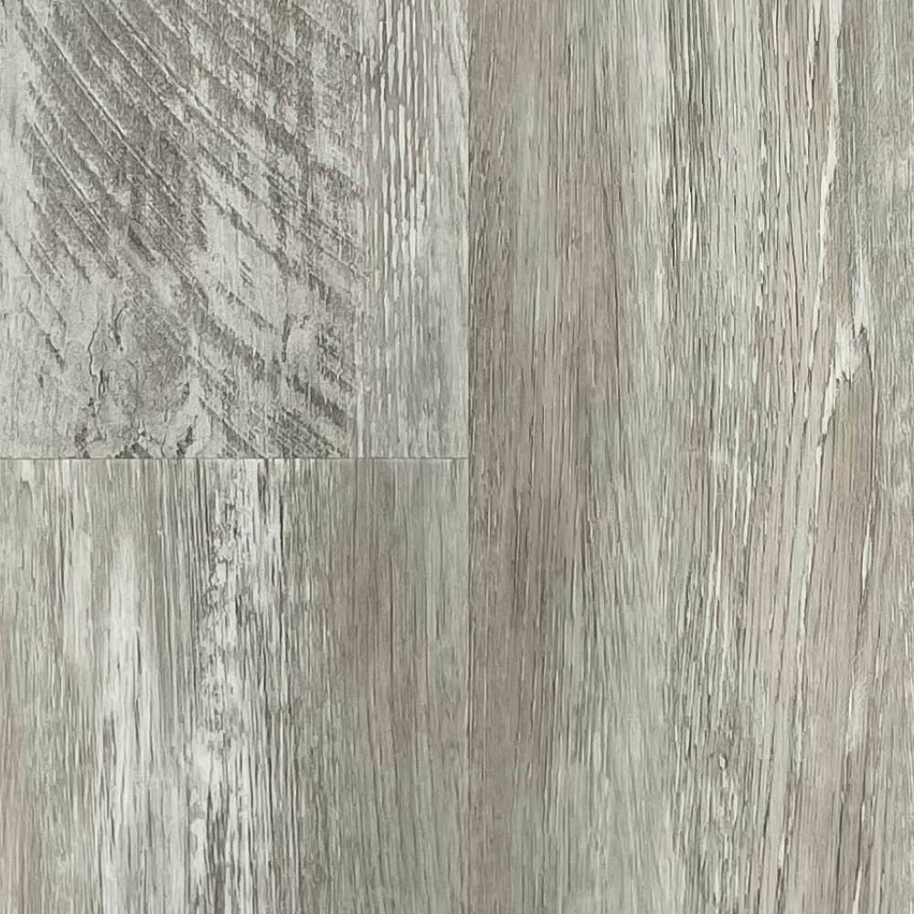 zam1