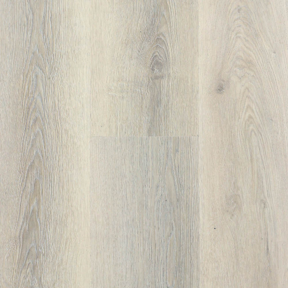 zam1