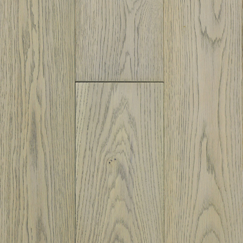 zam1