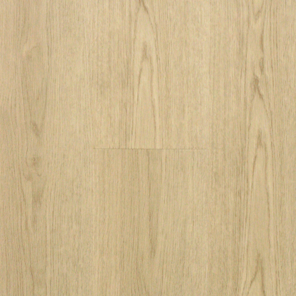 zam1