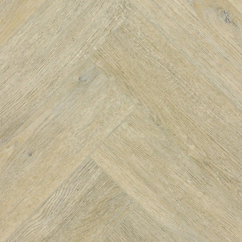 zam1