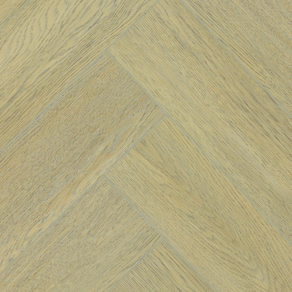 zam1